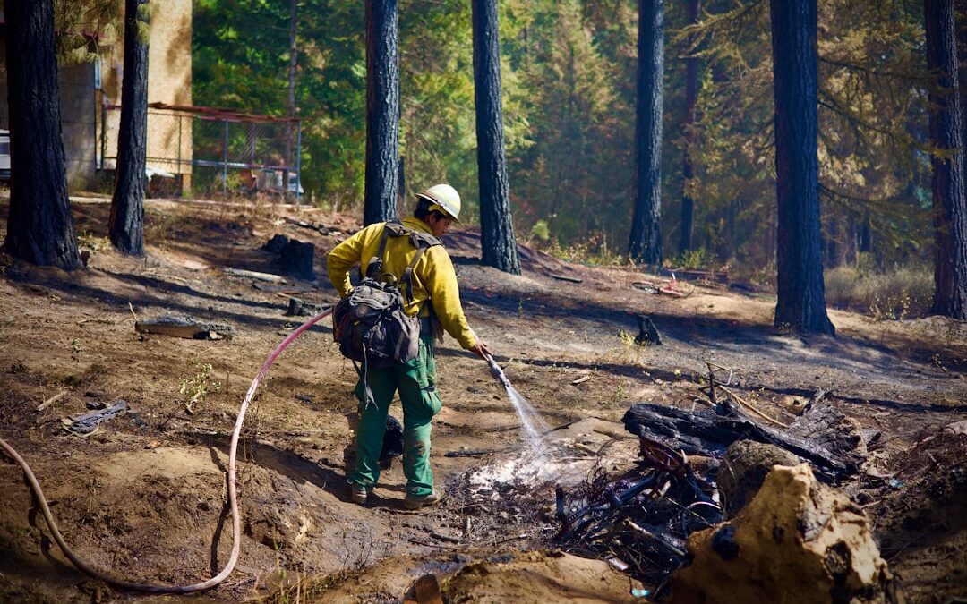 P2000 Elspeet: Altijd op de hoogte van het laatste nieuws in de regio